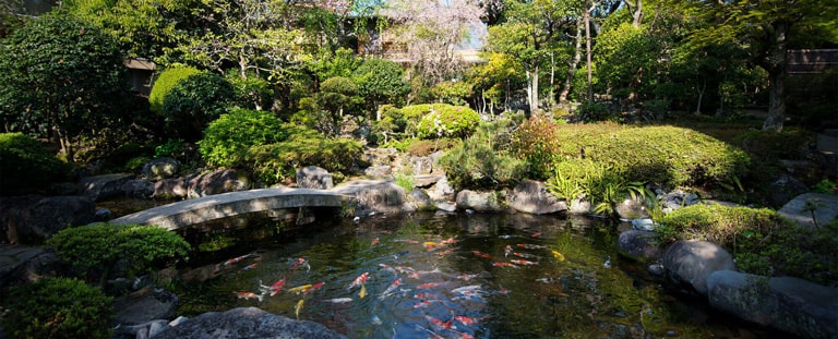 緑なす自然庭園 四季の美しさを